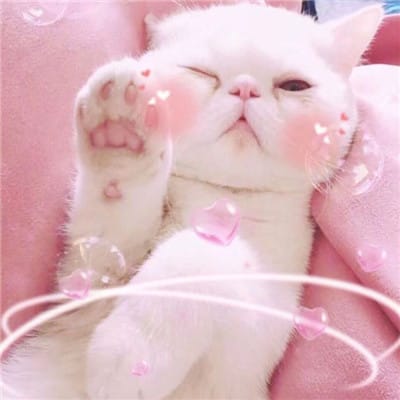Nia Putri avatar